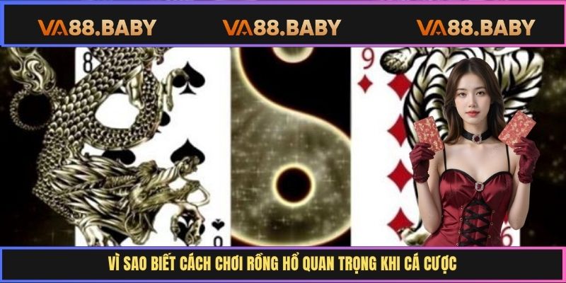 Vì sao biết cách chơi Rồng Hổ quan trọng khi cá cược