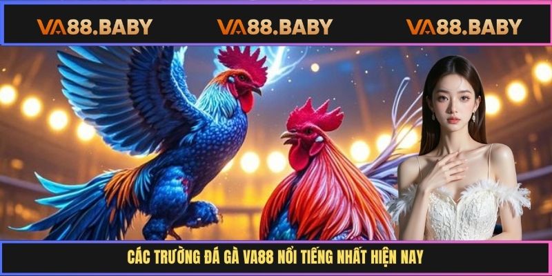 Các trường đá gà Va88 nổi tiếng nhất hiện nay